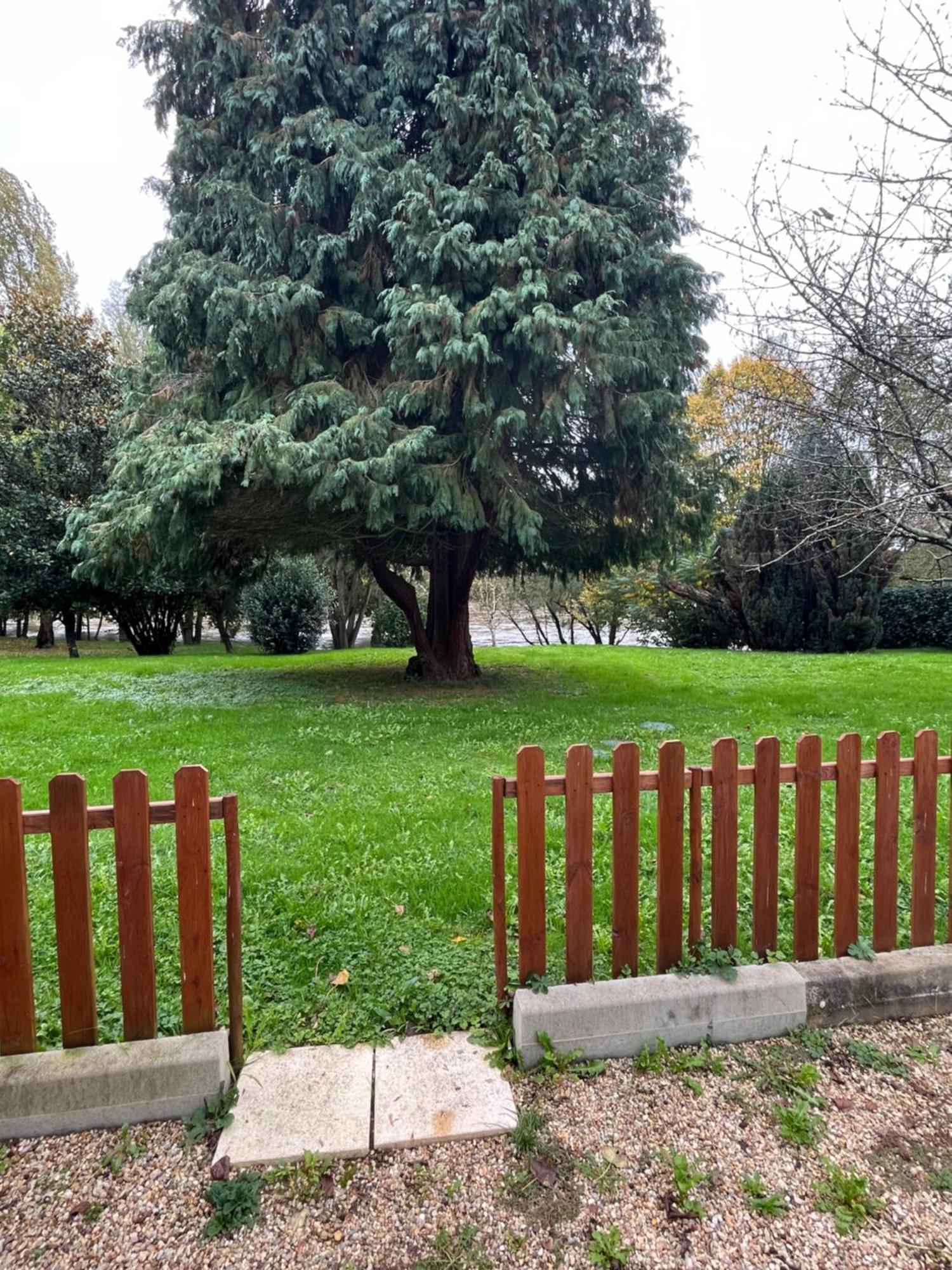 Logement Paisible En Bord De Vienne Bonneuil-Matours Экстерьер фото